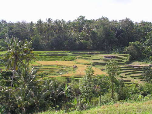 2005_indonesiatrip_241_2